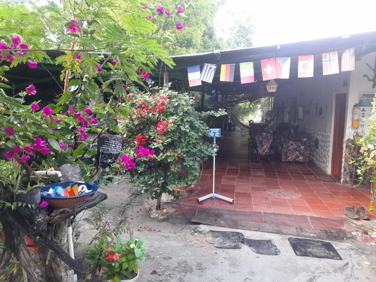 Alojamiento Casa De Campo Los Cactus Villavieja Exterior photo